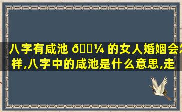 八字有咸池 🌼 的女人婚姻会怎样,八字中的咸池是什么意思,走咸池大远会怎样